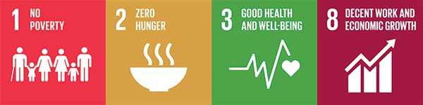 Global-Goals-1-Economical