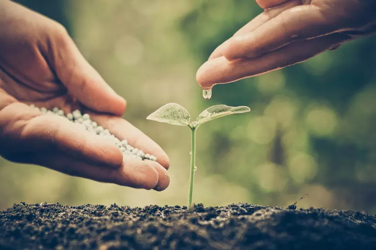 circular economy save planet